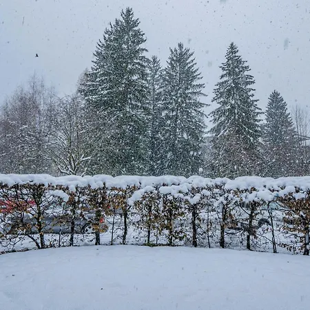 Triolet Jardin - Garden With Mont Blanc Views Апартаменти Шамоні