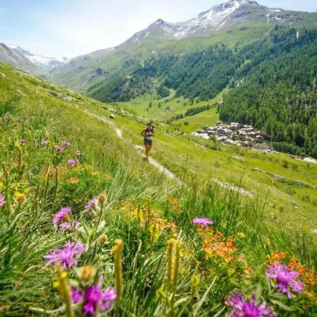 Triolet Jardin - Garden With Mont Blanc Views *