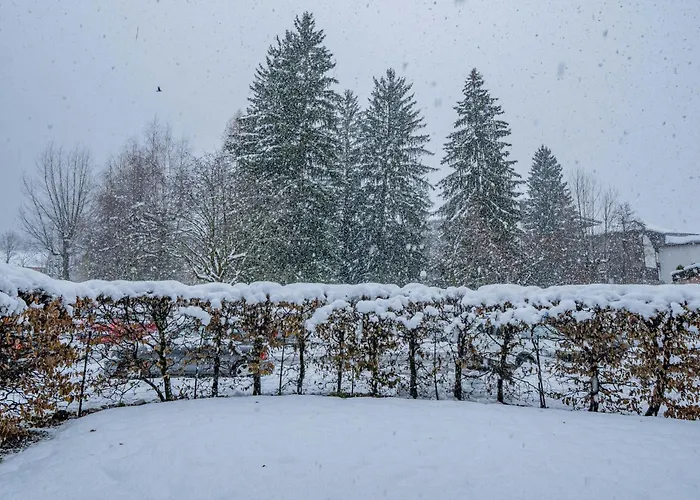 Triolet Jardin - Garden With Mont Blanc Views Apartmán Chamonix