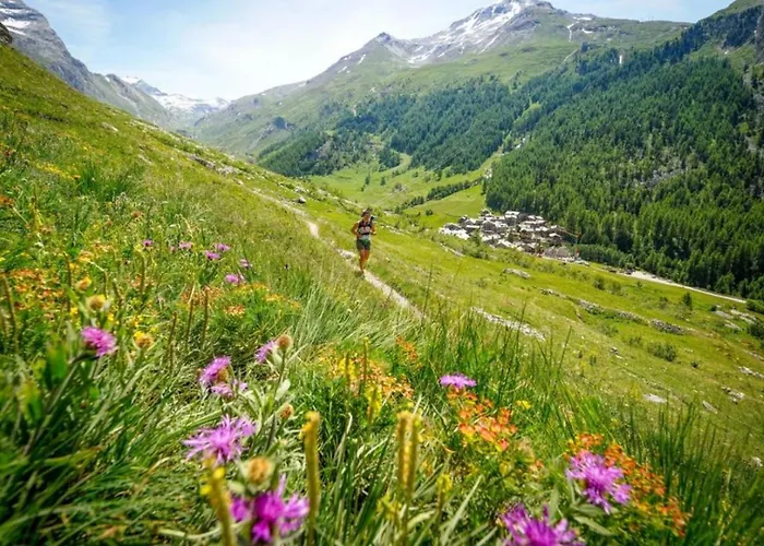 Triolet Jardin - Garden With Mont Blanc Views *