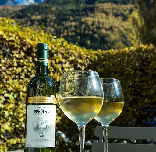 Triolet Jardin - Garden With Mont Blanc Views Apartmán Chamonix