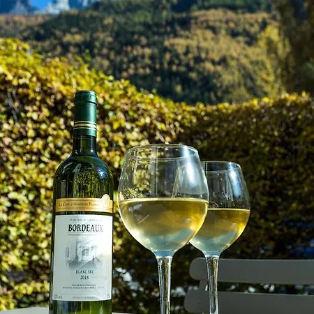 Triolet Jardin - Garden With Mont Blanc Views 아파트 샤모니